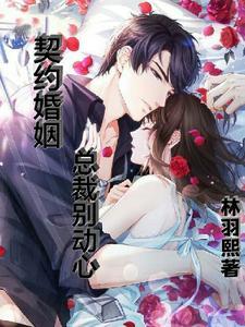 契约婚姻,总裁别动心 契约婚姻,总裁别动心