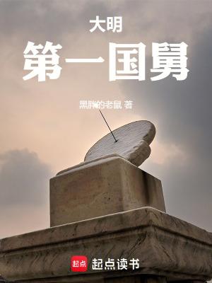 大明第一国舅 大明第一国舅